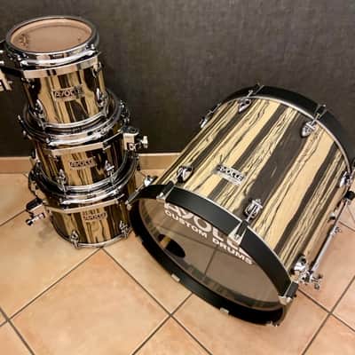 Immagine Ayotte custom maple King ebony - Maple King ebony - 14