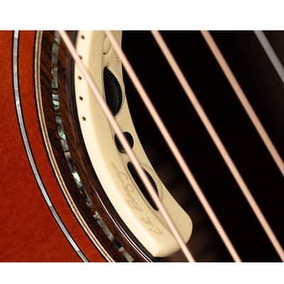 Parkwood P880 Nocturne Trans Sunset Natural Gradation Maple Fretboard Acoustic Guitar image 3
