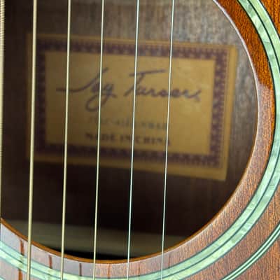 Jay Turser JTAC-50EQ Acoustic-Electric Cutaway Guitar w/ Brand New Great Divide Gig Bag image 24