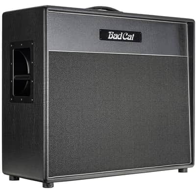 Bad Cat Hot Cat 2x12 Extension Cabinet - Silver Speckled Grille/Piping image 2
