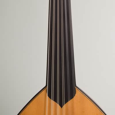Sacit Gurel Oud (2003), black gig bag case. image 10