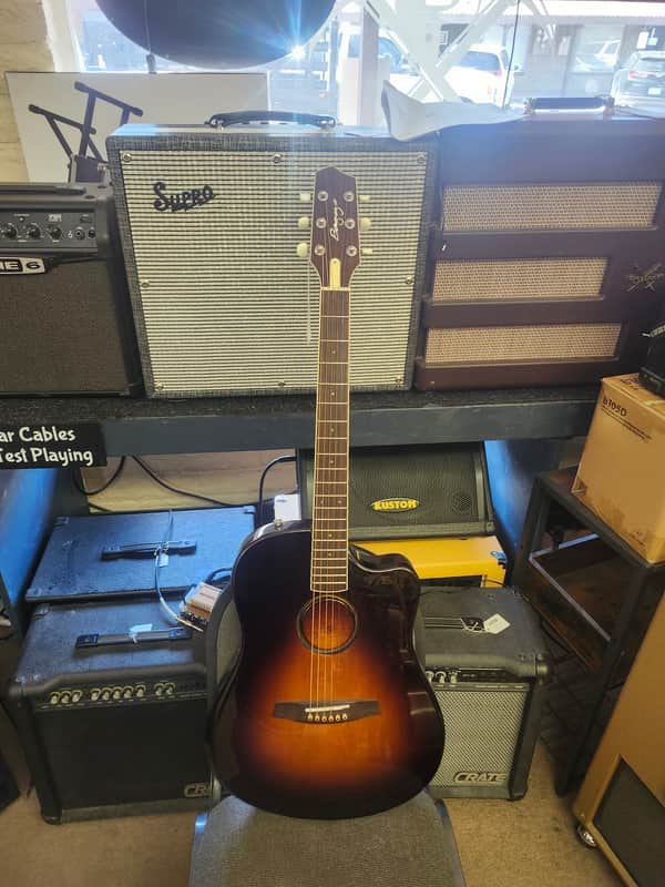 LR Baggs AEG-1