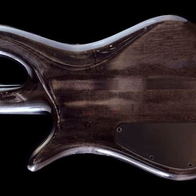Spector USA Doug Wimbish Signature 2025 - Trans Black Stain Gloss image 5