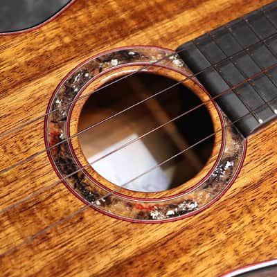 Leaf Instruments Teriha ~照り葉~ #306 2026 - Gloss image 4