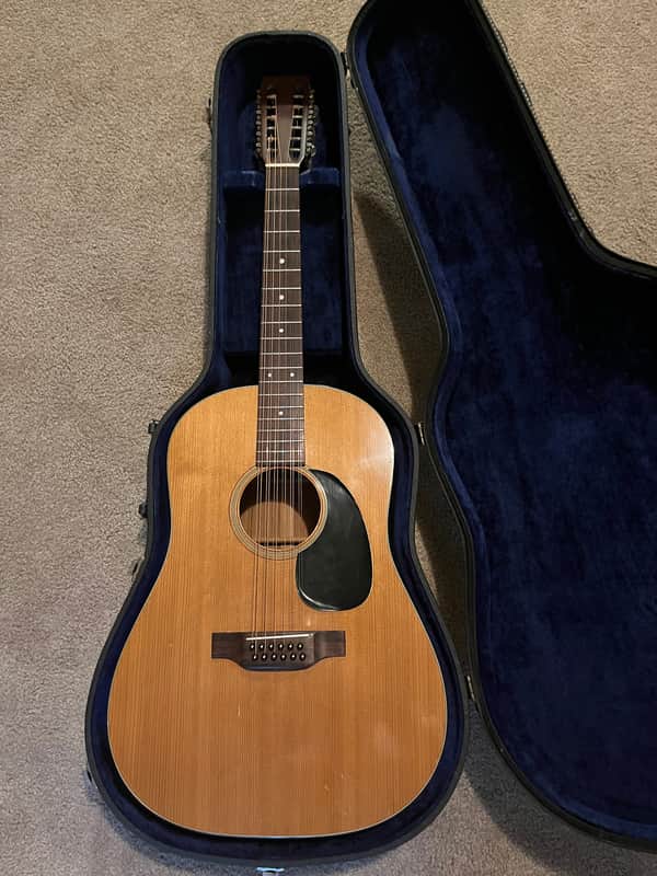 Martin D12-20