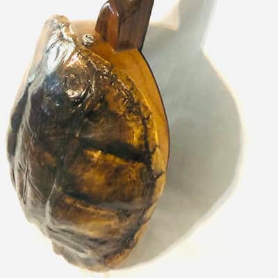 Turtle Shell 4 string electric tenor guitar image 14
