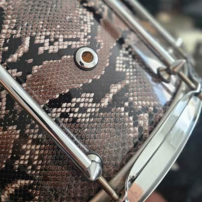 Pearl VP1480 14x8" Vinnie Paul Signature Maple Snare Drum 2010s - Snakeskin Graphic image 3