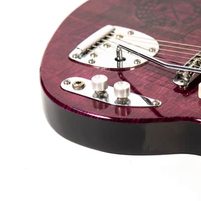 Luppiro Custom Guitar Owned by Mike Campbell image 13