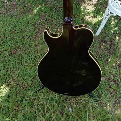Samick Greg Bennett Royale Series: RL5 guitar image 8