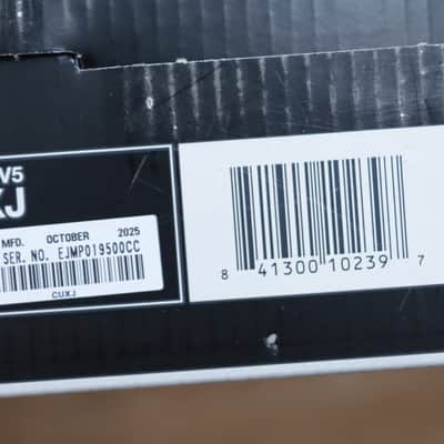 Pioneer DJ DDJ-REV5 Scratch-Style 2-Channel Performance DJ Controller w/Box image 16