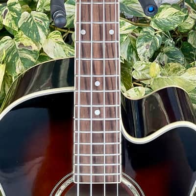 Ibanez AEB10E 4-String Acoustic/Electric Bass image 3