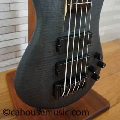 Immagine Spector Euro 5 LX - Trans Black Stain Matte - 9