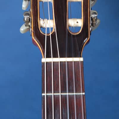 Giannini Craviola AWKNS6 / Nylon String and Bossa Ready! image 3