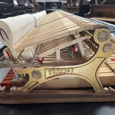 Steinway Model B 6'11" Grand Piano 1888 (Restored) - Satin Brazilian Rosewood image 22