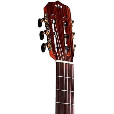 Cordoba Stage Nylon-String Electric Guitar - Natural Amber image 6