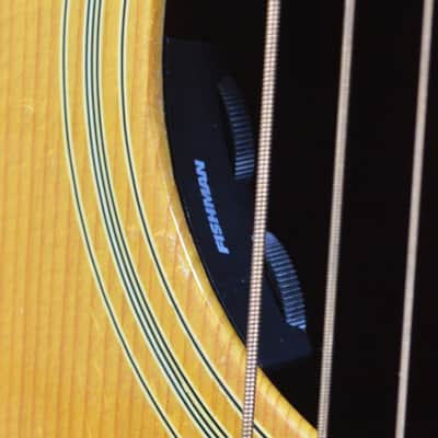 1976 Gibson J-55 American Made Acoustic Electric image 4