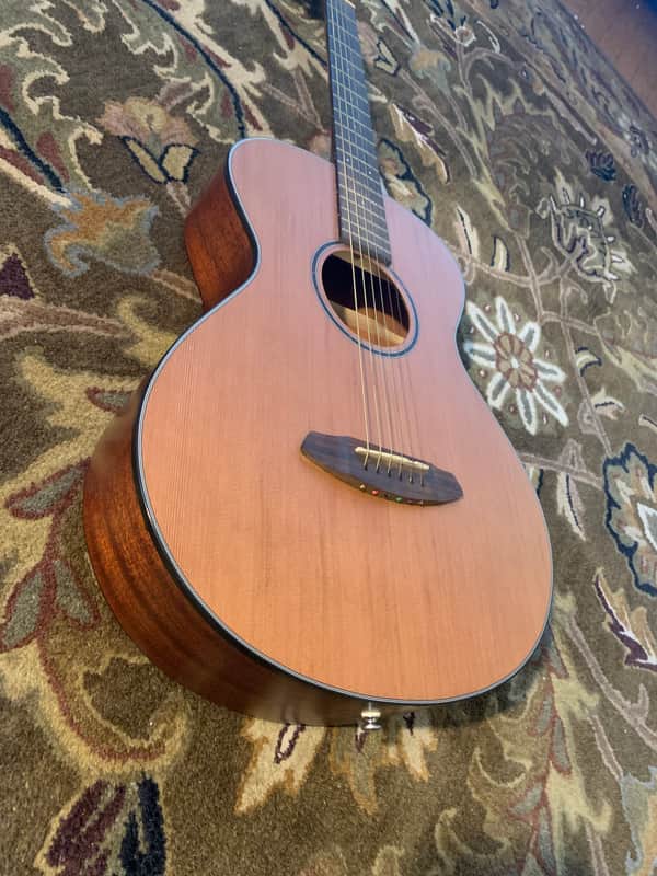 Breedlove Discovery S Concertina