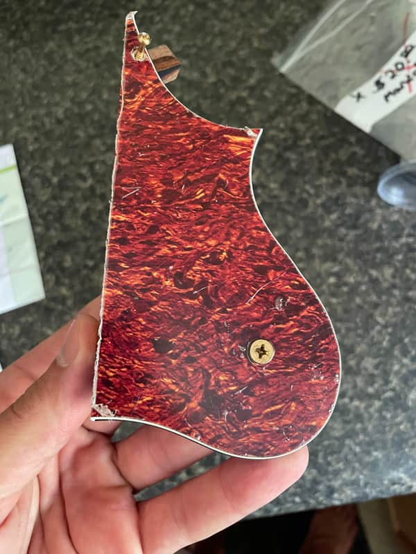 Gibson Mandolin Pick Guard image 1