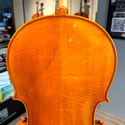 Student Cello: 1/2 Cello - Segue Concertino Plus 2016 - Oil varnish image 6