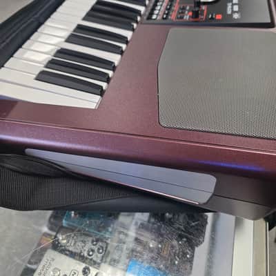 Korg PA1000 61-Key Professional Arranger 2017 - Present - Red image 10