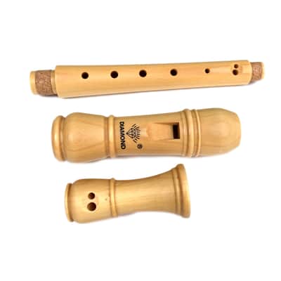 Soprano Recorder 8-Hole Treble Vertical Flute German Fingering image 4