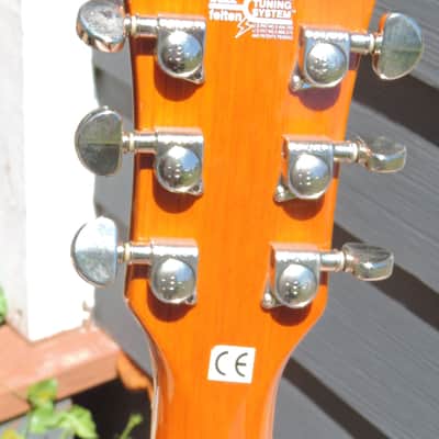 Washburn WI-66V 2002 - Honeyburst image 2