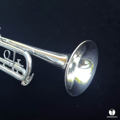 Vintage King Silverflair 1055T 0.462 Large Bore  GAMONBRASS case mouthpiece image 6