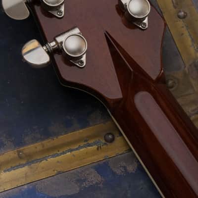 Frank Brothers Guitar Co. Arcade Thinline 2025 - Brown Sugar Sparkle image 14