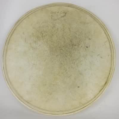 Leedy&Ludwig Hardwhite 13"Calf Skin Tom Drum Head Batter/Resonant Vintage 50s US image 2