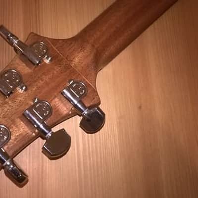 Ronciswall Custom Handmade PRS style 2018 Natural satin image 6