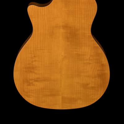 Taylor Custom Select 414ce Big Leaf Maple/Sitka Spruce, Tort Binding #73049 image 2