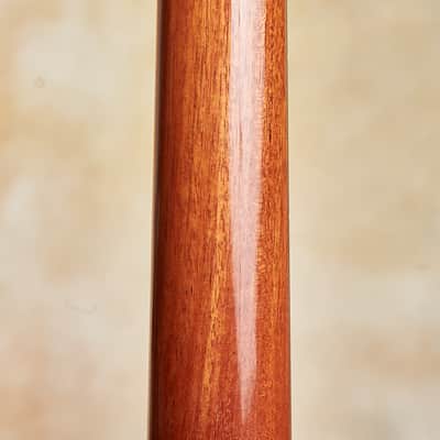 Linda Manzer Fanfret Baritone Acoustic image 13