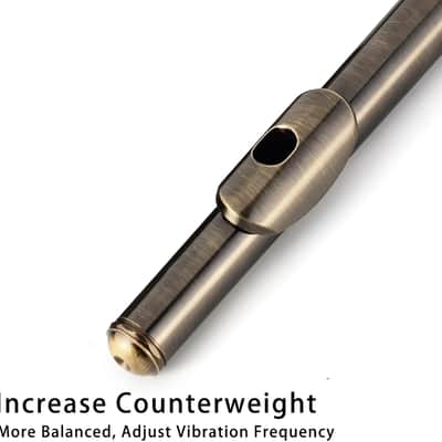 Closed Hole Flutes C 16 Key for Beginner, Kids, Student -Antique Flute with Case Stand and Cleaning kit image 3