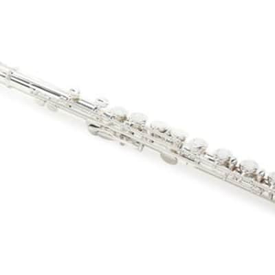 Di Zhao Flutes DZ 100 COA Student Flute with Offset G image 2