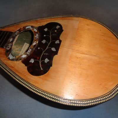 E. Zerega Bowlback Mandolin Brazilian 1900 image 9