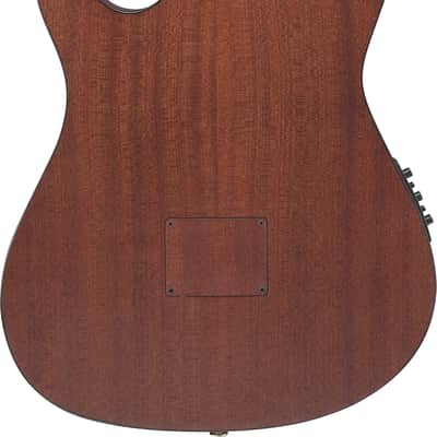 Ibanez FRH10NBSF, Thinline Nylon Acoustic Electric Guitar - Brown Sunburst image 6