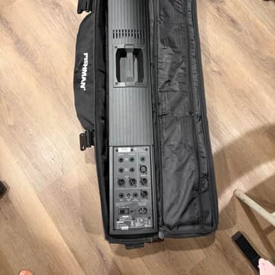 Immagine Fishman SA220 Solo Performance System 2012 - Black - 4