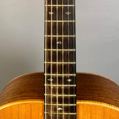 Goodall RS Sitka & Rosewood Standard 1981 image 14