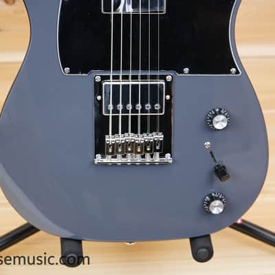 Schecter PT EX - Dorian Gray image 5