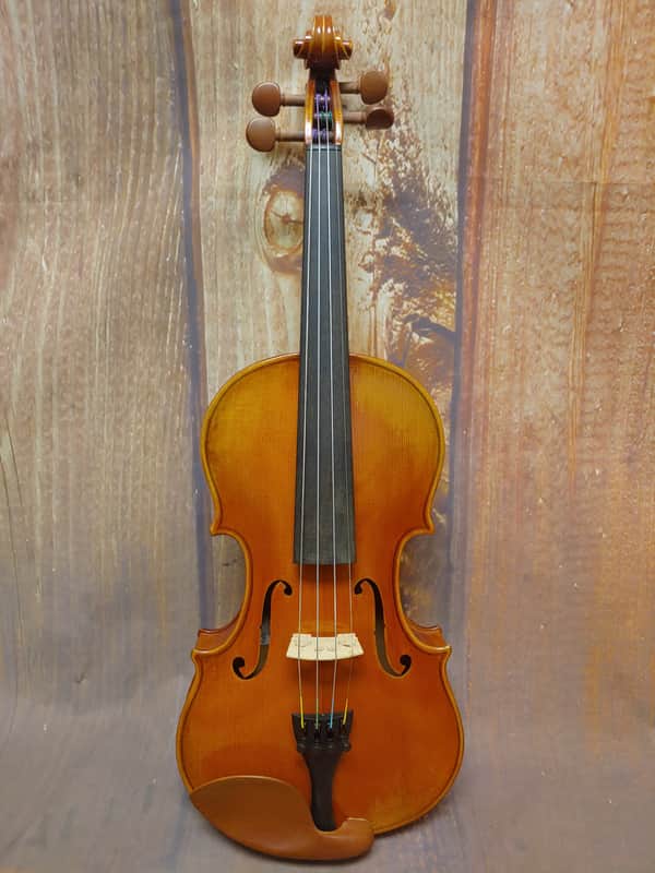 Stefan Petrov Workshop Violin 4/4 TVN-S 2022 image 1