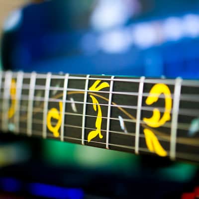 Ibanez Jem Gold Tree Of Life Inlay Sticker Set Bild 5
