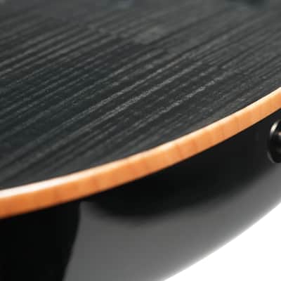2008 – PRS SC250 - Black Flame image 17