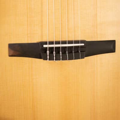 Taylor 112ce-N Nylon Grand Concert Acoustic/Electric Guitar with Gig Bag image 9