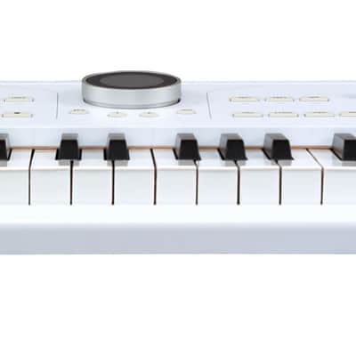 Arturia Astrolab 61-key Stage Keyboard image 4
