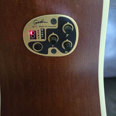 *With Case, Strap and Capo* Seagull Entourage Dreadnought CW QIT 2010s - Autumn Burst image 6