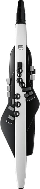 Roland AE-20 Aerophone | Premium Digital Wind Instrument | SuperNATURAL Acoustic Tones & Advanced ZEN-Core Technology | Ultra-Responsive Playability | Over 250 Sounds | Bluetooth Connectivity image 1