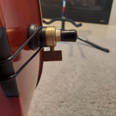 Eastman VC80 2022 - High'gloss Varnish image 9