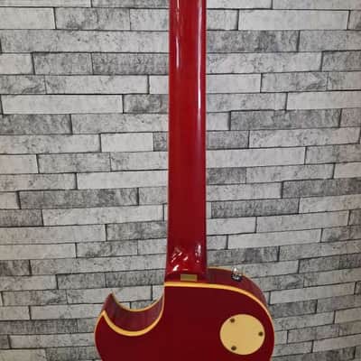 Arbor Les Paul Copy image 9