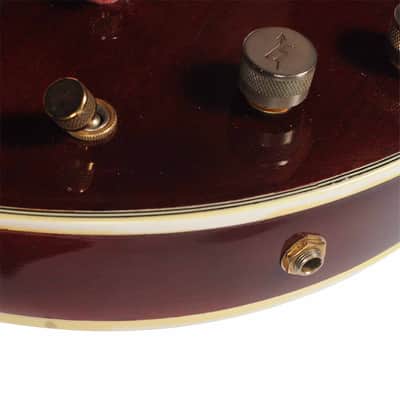 Gretsch The Chet Atkins Country Gentleman USED image 12