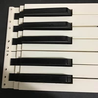 Korg PA 50-PA50sd  Replacement Keys